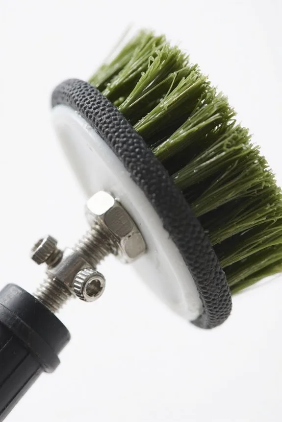 choose suitable algae brush
